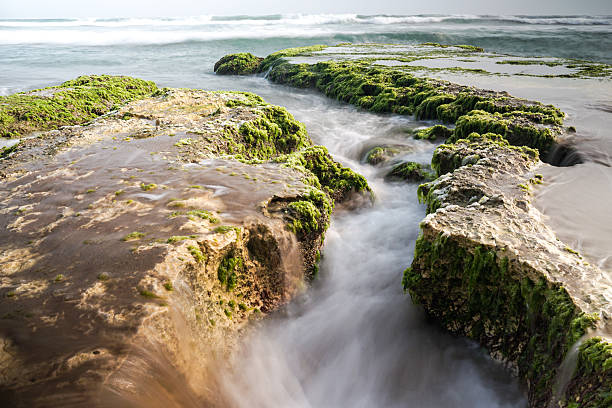 A long exposure photograph showcases the gentle flow of ocean waves carving their path through moss-covered rock formations, creating a mesmerizing seascape with natural textures and a tranquil