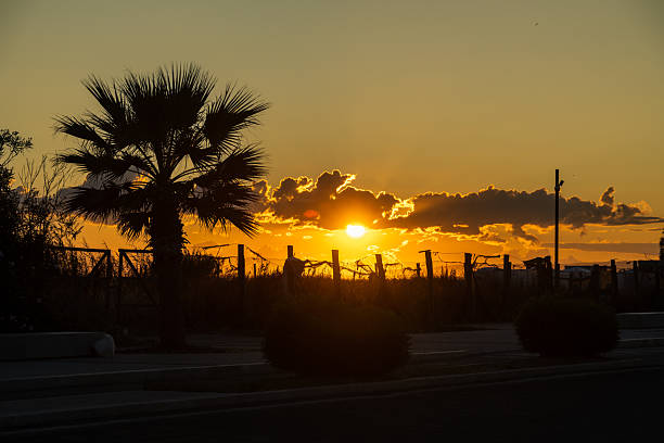 Silhouettes of palm trees and a rural fence at sunset with glowing clouds, warm tones, a quiet street and bright horizon in Lecce - Italy