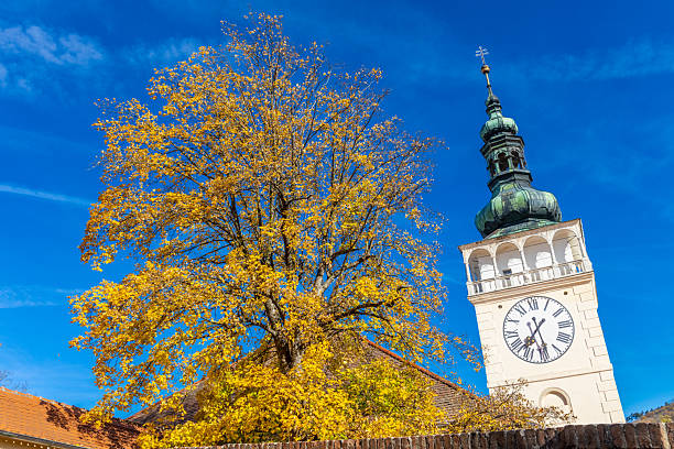 Mikulov town and castle in Czech Republic featuring historic architecture red rooftops hillside setting and clear daylight representing European heritage culture scenic landscape and landmark