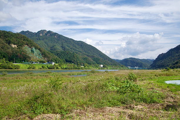 istock Wetlands toward Grand Bridge 2247644008