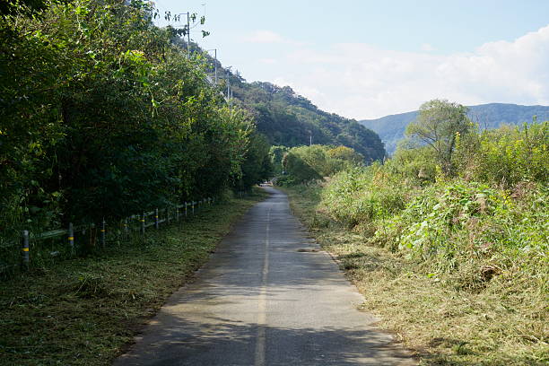 istock Shaded Bikeway through Riverside Trees 2247644440