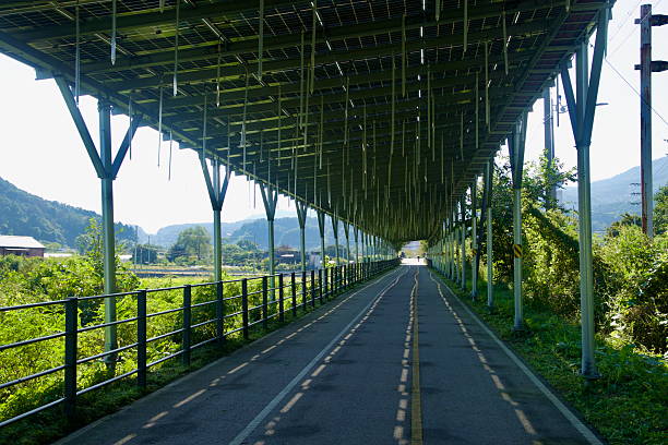 istock Under the Photovoltaic Roof 2247646334