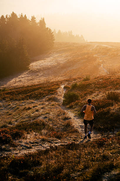Young man trail runner bounds up trail through meadow at sunrise, misty autumn morning, Black Forest, Baden-Württemberg