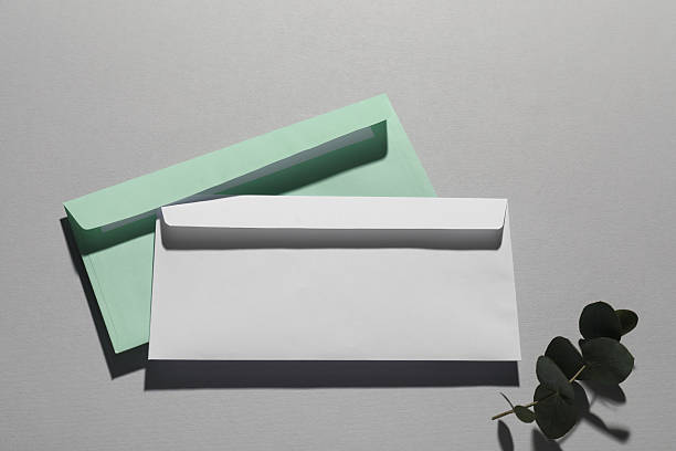 istock Paper envelopes and eucalyptus branch on grey background, flat lay. Mockup for design 2247649076