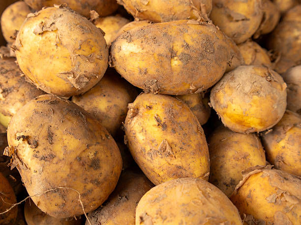 istock Farm Fresh Potatoes Stacked Up 2247650340