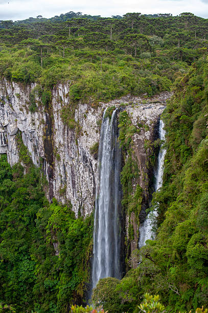 istock Itaimbezinho Canyon, Aparados da Serra National Park 2247651928