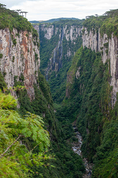 istock Itaimbezinho Canyon, Aparados da Serra National Park 2247651947