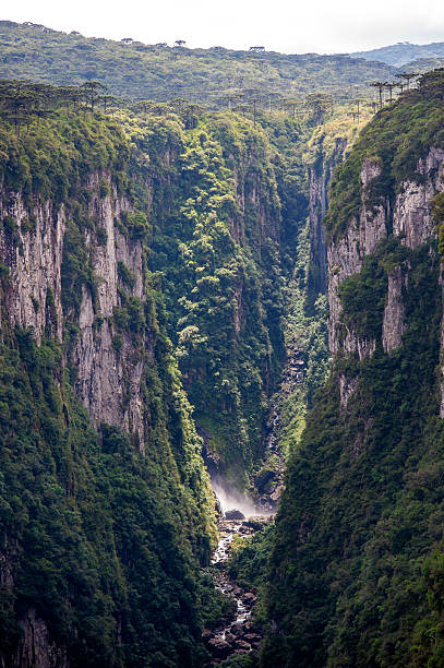 istock Itaimbezinho Canyon, Aparados da Serra National Park 2247651972