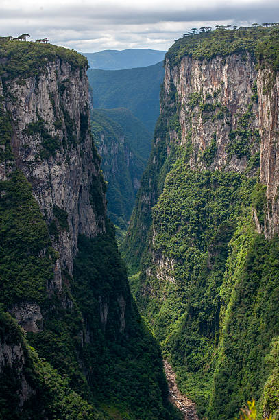 istock Itaimbezinho Canyon, Aparados da Serra National Park 2247652005