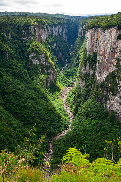 istock Itaimbezinho Canyon, Aparados da Serra National Park 2247652078