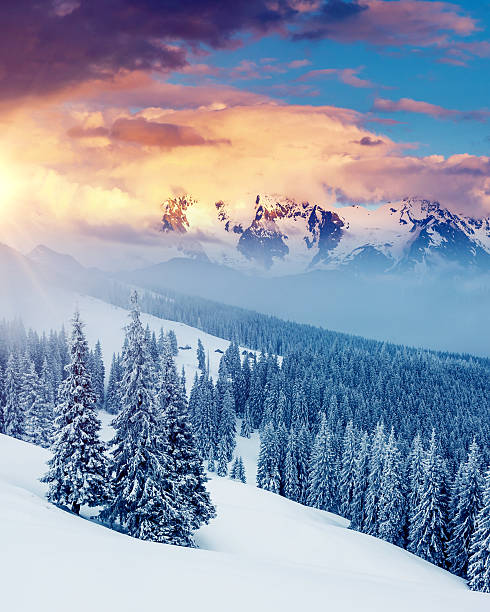 istock Attractive winter landscape and covered snow trees. 2247655109
