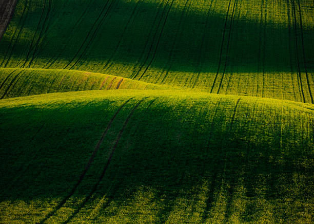 Tranquil rural landscape in sunny day. Beautiful sunlight on the wavy fields. Location place of South Moravia region, Czech Republic, Europe. Photo of ecology concept. Discover the beauty of earth.