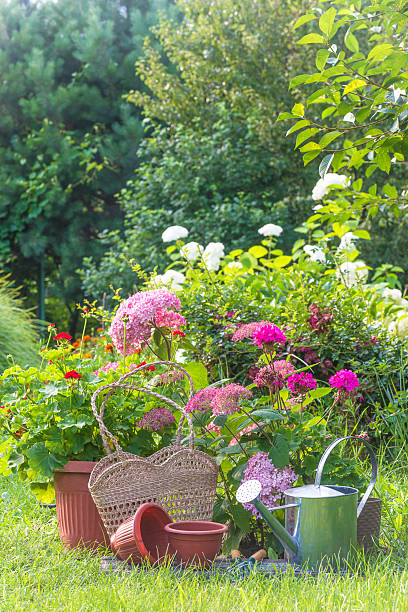 istock Summer gardening still life; 2247660642
