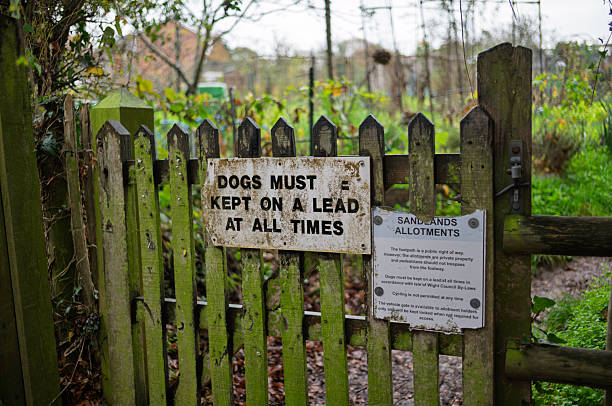 istock Allotment Gate With Warning Sign About Dogs on Leads 2247660692
