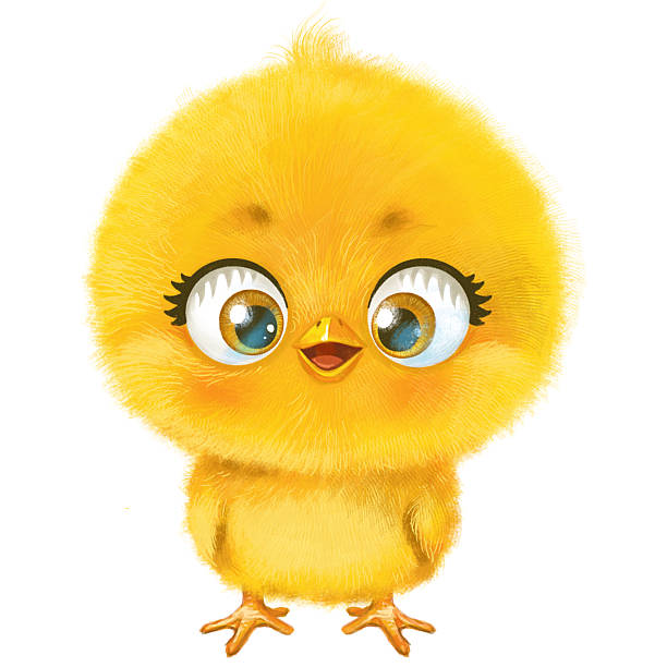 istock Cute cartoon little yellow fluffy chicken isolated on a white background 2247661041