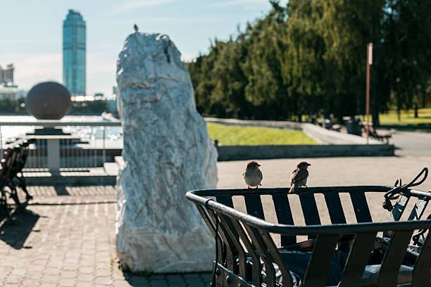 Two birds are sitting on a trash can in a park. The trash can is next to a large rock and a bench. The scene is peaceful and quiet, with no other people or animals visible