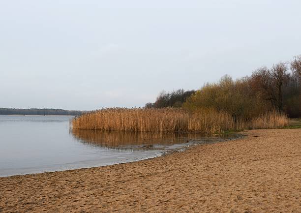 istock Banks of a lake 2247661140