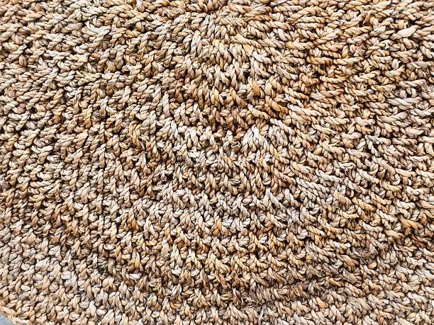 Handmade Jute sackcloth burlap texture background beige cream brown color.