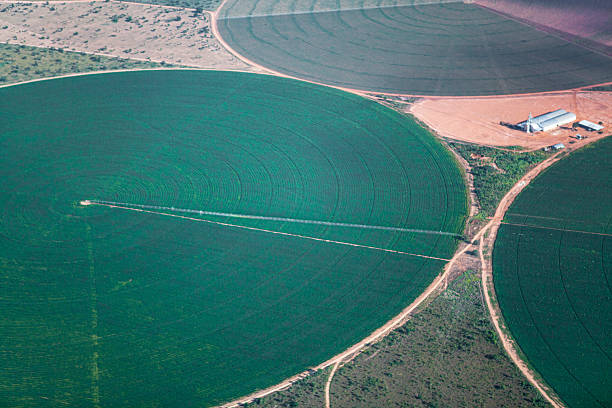 istock Circular sprinkler used for irrigation 2247666225