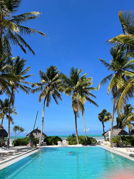 istock Beautiful pool in a luxury hotel surrounded with palm trees 2247668550