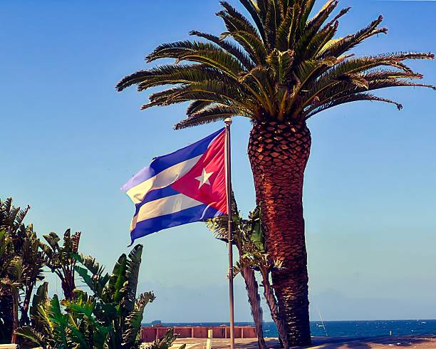 Cuban flag waving against a bright blue evening sky with palm leaves in the frame over looking False Bay in Cape Town South Africa