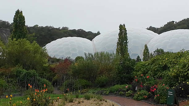 Cornwall - October 02, 2025: The Eden Project. Rainy day and misty hillside ecotourism experience, visitors walk scenic pathways amid tropical conservatory