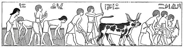 Hieroglyphics of Egypt farmers plowing and working the field with bullsOriginal edition from my own archivesSource : Egipto - Jorge Ebers 1882