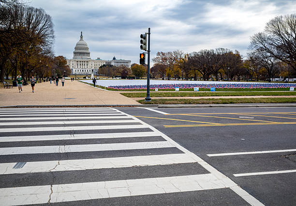 Views of the United States Capitol building showing American Flags planted alongside white ones in the installation on the National Mall in Washington DC and is part of the display by Lungevity.  The white flags represent loss (lives lost to lung cancer) and the US Flags bring in a national/civic dimension... a national call to action.  By combining the white flags with the US Flags, the installation suggests lung cancer doesn't discriminate.  The Capitol building is where both the Senate and the House of Representatives meet in Washington, DC.  Bedsides its political function, the Capitol is also a museum of American art and history.    The building was first used around November of 1800.  The style of the building is considered Neoclassical and measures in excess of 1.5 million square feet on five levels.  It is the working heart of the legislative branch of the US.