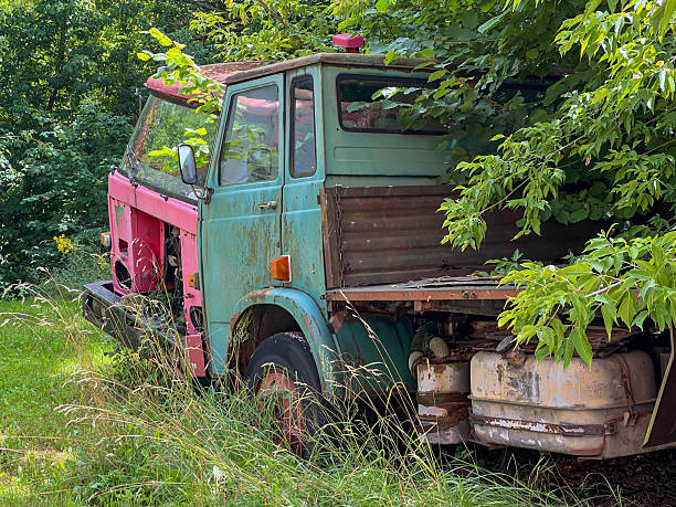 Old trucks abandoned in the bushes are turning into scrap metal.