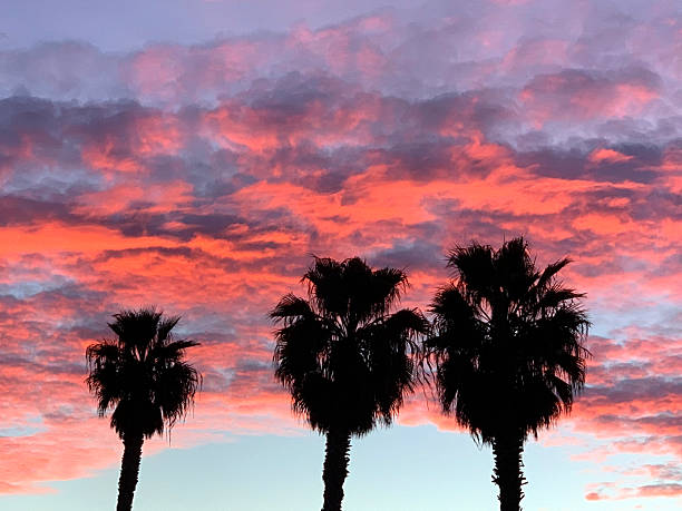 istock California Coastline - West Coast Sunset 2247678093
