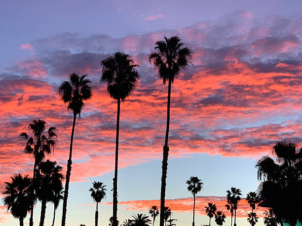 istock California Coastline - West Coast Sunset 2247678126