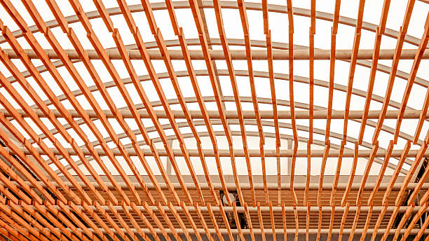 Rooftop framing, roof beam