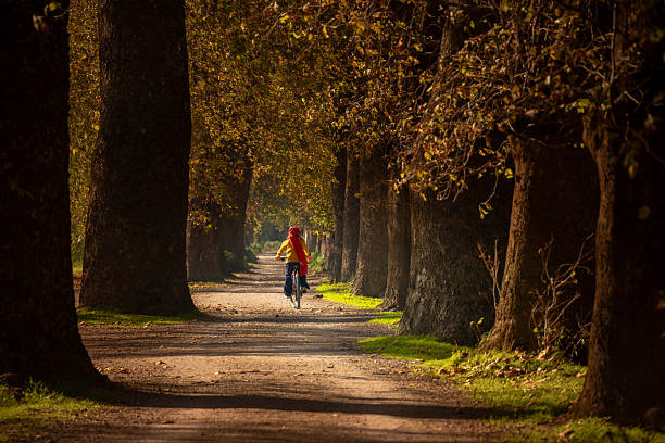 Person riding a bicycle down a shaded lane, surrounded by autumn trees and fallen leaves