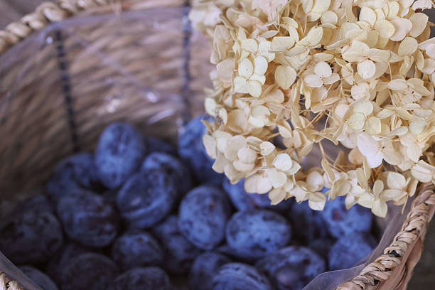 A basket filled with ripe plums on display at a bustling market.