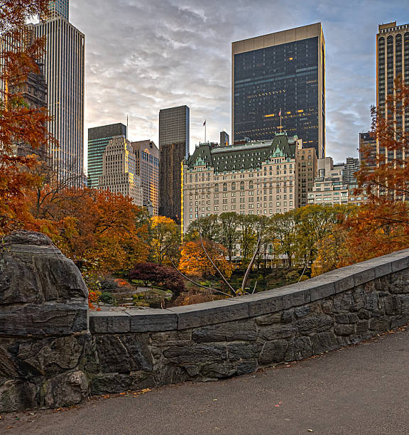 istock Gapstow Bridge in Central Park, late autumn 2247681956