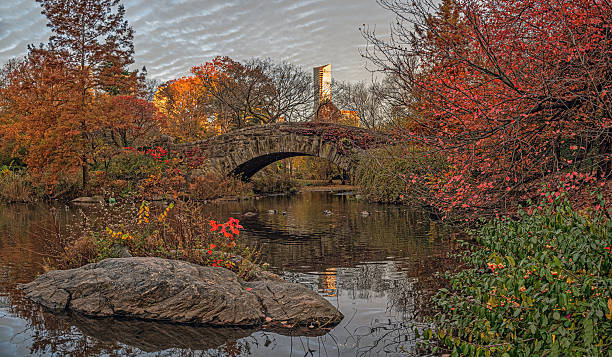 istock Gapstow Bridge in Central Park, late autumn 2247682045