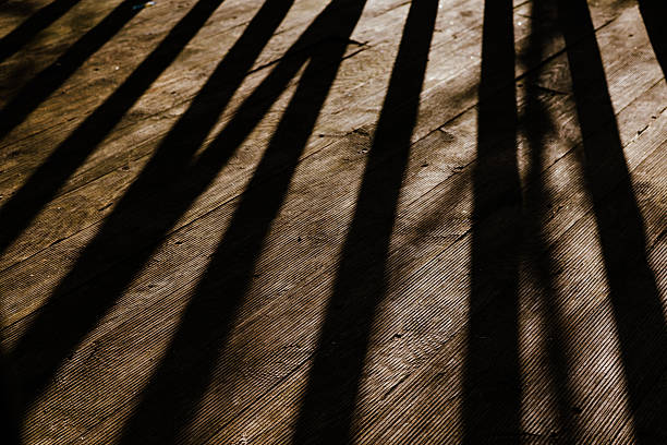 Empty wooden platform with green plant in the background.