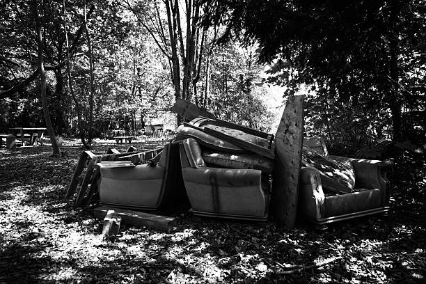 Abandoned vintage cars in forest Sweden