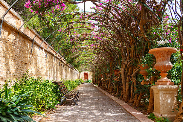 istock Peaceful Garden Walkway Adorned With Flowering Vines in a Serene Outdoor Setting 2247683495