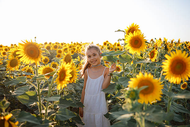 istock Child playing in sunflower field on sunny summer day 2247684658