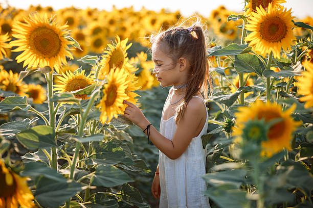 istock Child playing in sunflower field on sunny summer day 2247684751