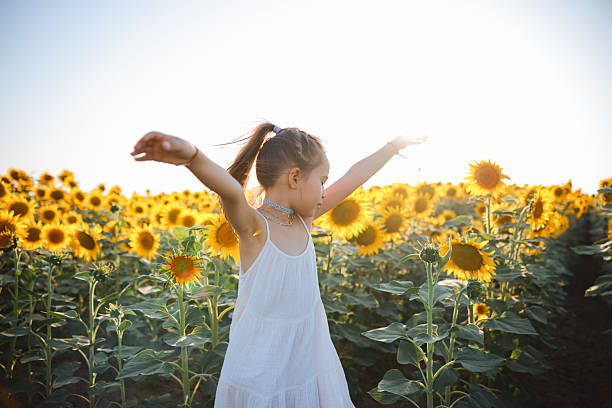 istock Child playing in sunflower field on sunny summer day 2247685170