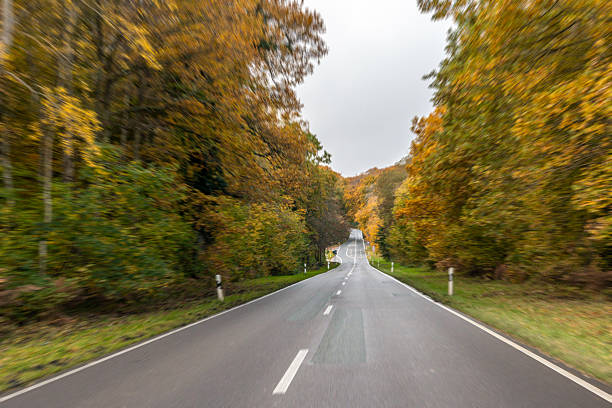 Empty asphalt road winding through a golden autumn forest, symbolizing freedom, travel, and tranquility in nature.