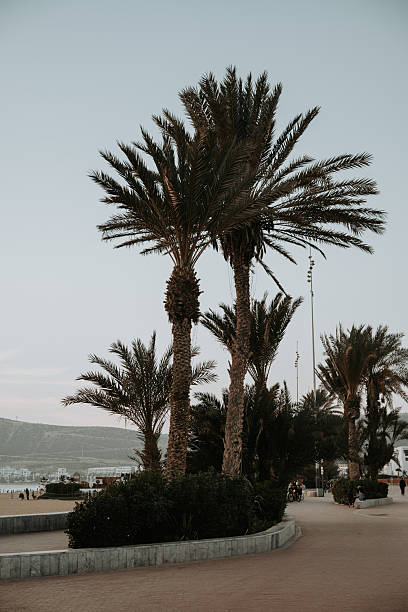 istock Agadir beach in Morocco and the Atlantic Ocean 2247692016