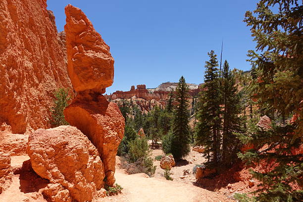istock Trees and Cliff face in Bryce Canyon National Park 2247697558