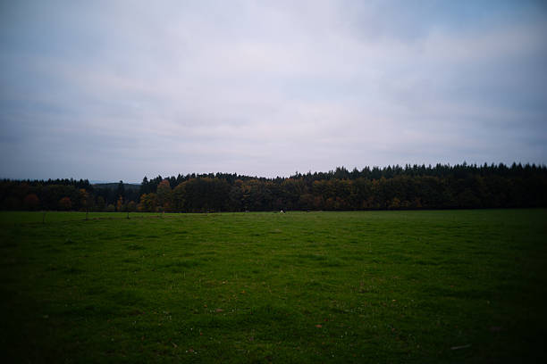 rural landscape in Luxembourg on a ward evening