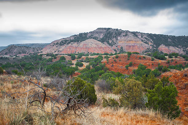 istock Palo Duro Canyon State Park 2247700944