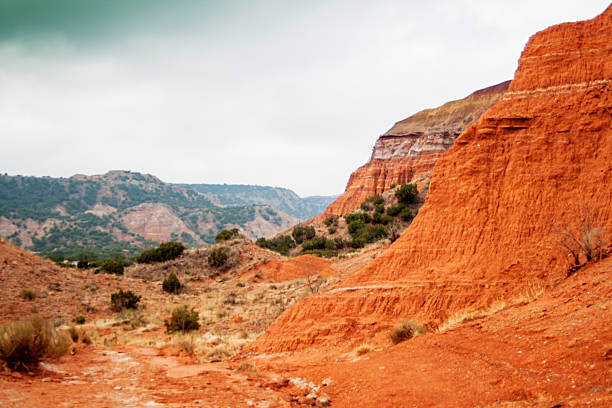 Arizona