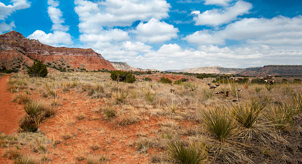 istock Palo Duro Canyon State Park 2247701098
