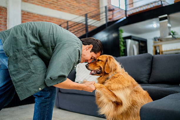 istock Mid adult man training dog at home 2247705814